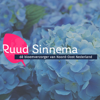 Home - Station KPN ruud-sinnema